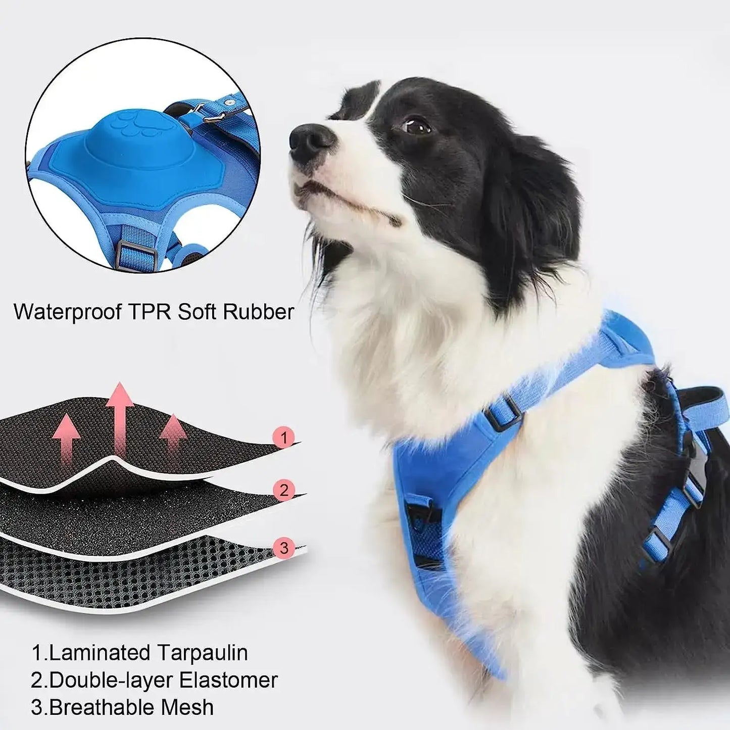 Dog wearing blue waterproof breathable harness with layers of mesh, elastomer, and tarpaulin.