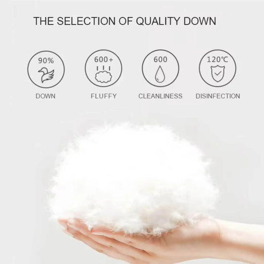 Hand holding fluffy white down, icons highlight softness, cleanliness, and disinfection features.