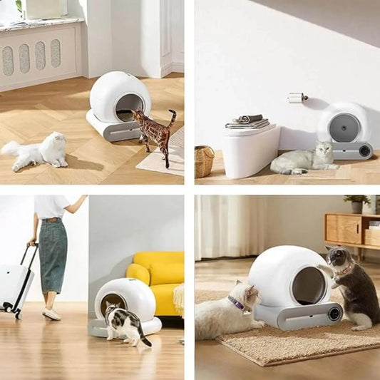 Modern automatic self-cleaning cat litter box with multiple cats in stylish home settings