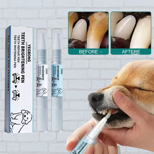 Dog teeth whitening pen applied to dog's teeth, before and after cleaning results shown.