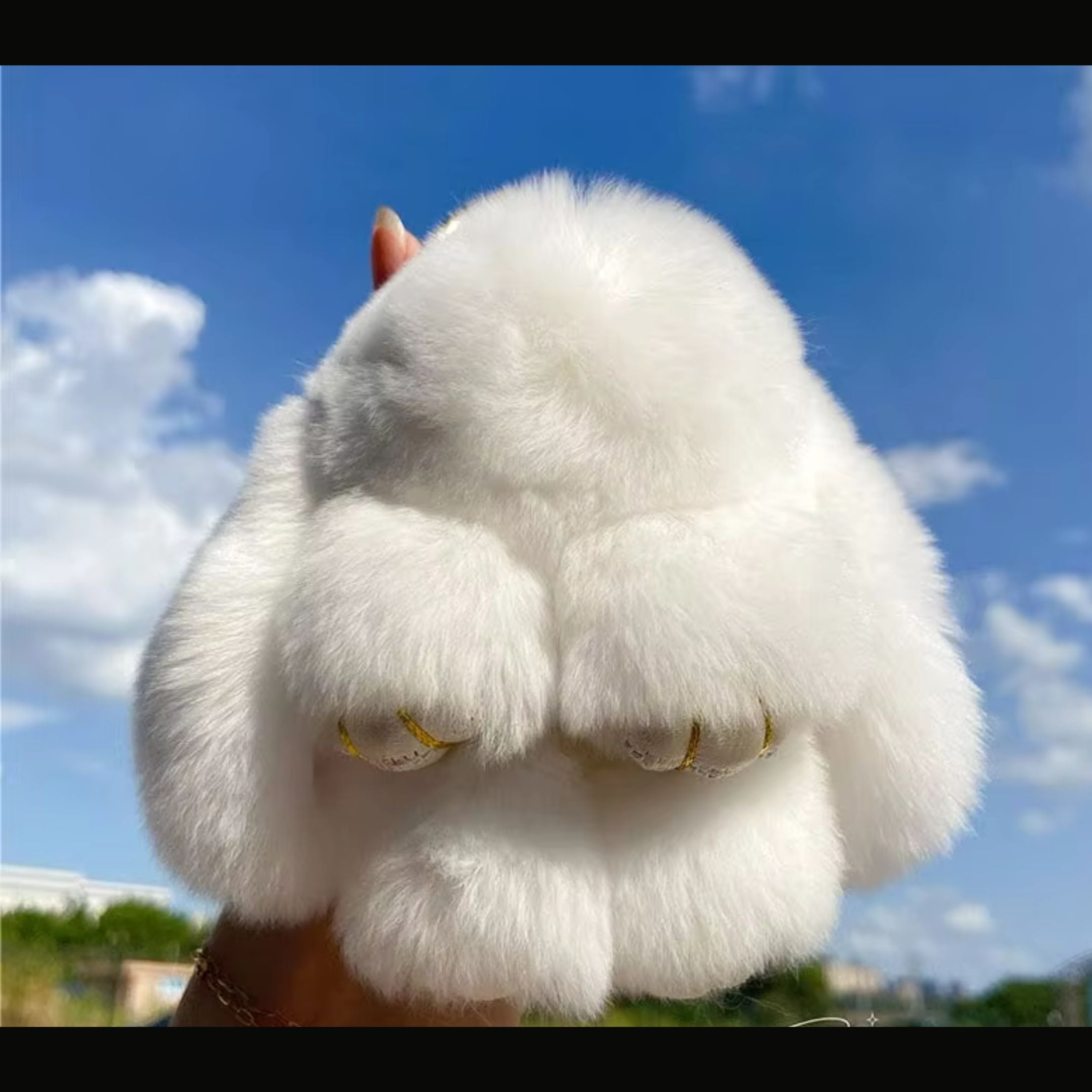Alt Image