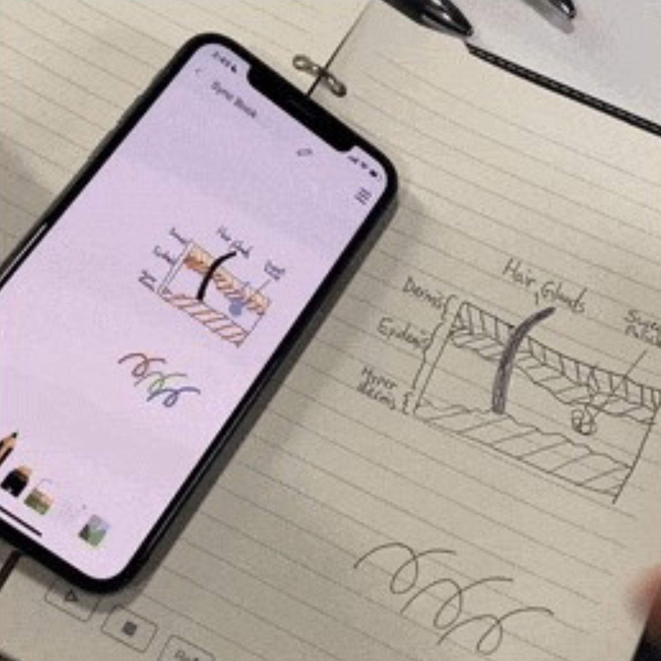 A smartphone displaying a skin diagram rests on an open notebook. The notebook contains a hand-drawn sketch of the same skin diagram, labeled with terms like hair follicle and epidermis. Below the sketch are practice signatures or squiggles.