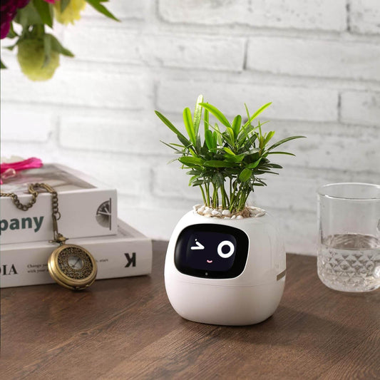 Ivy Smart Plant Pot - Strike Algo