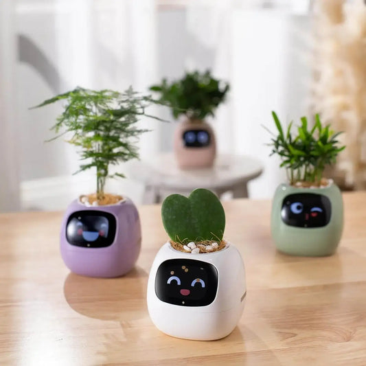 Cute robot face plant pots with small indoor plants on a light wooden table