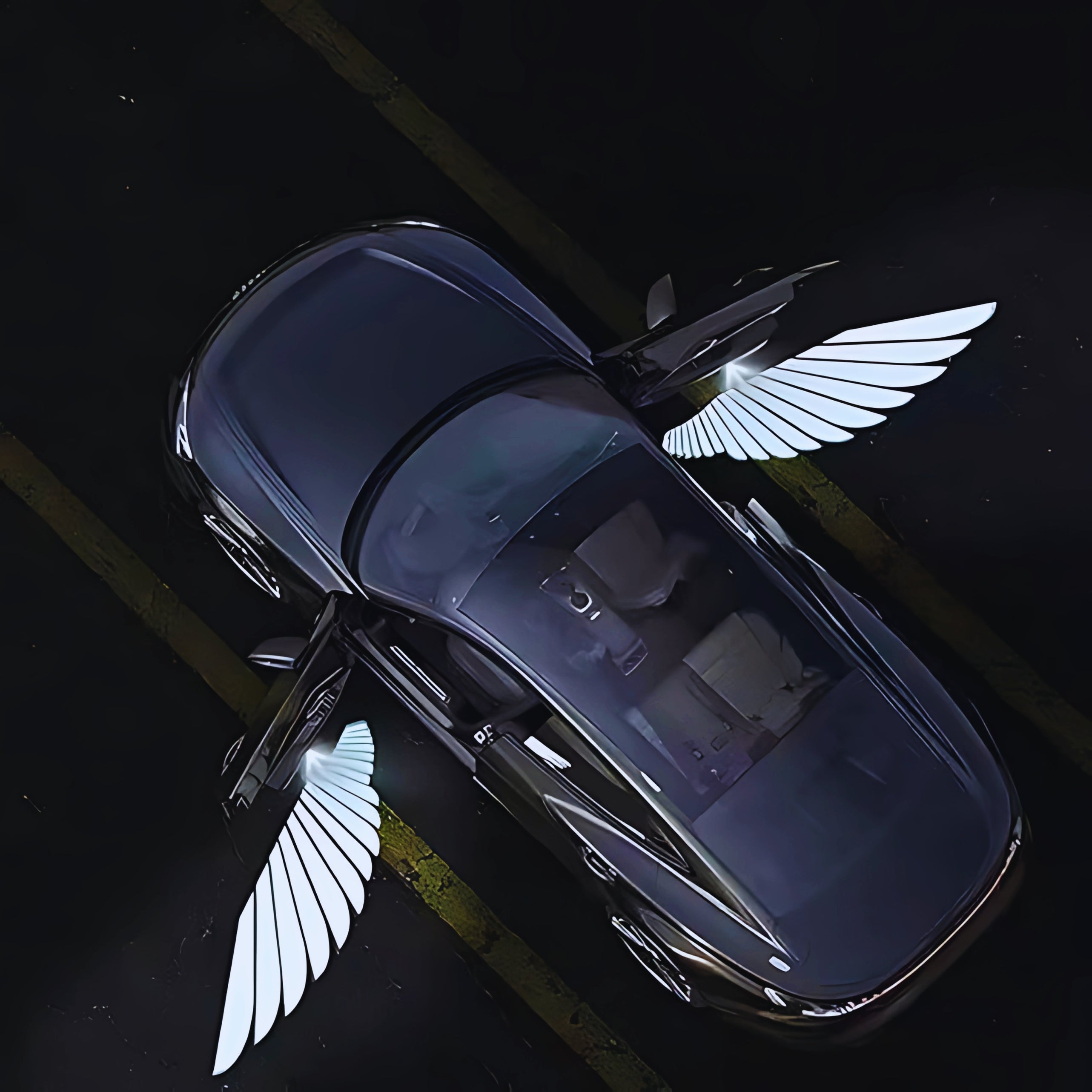 LED Angel Wing Projection Car & Motorcycle Lights