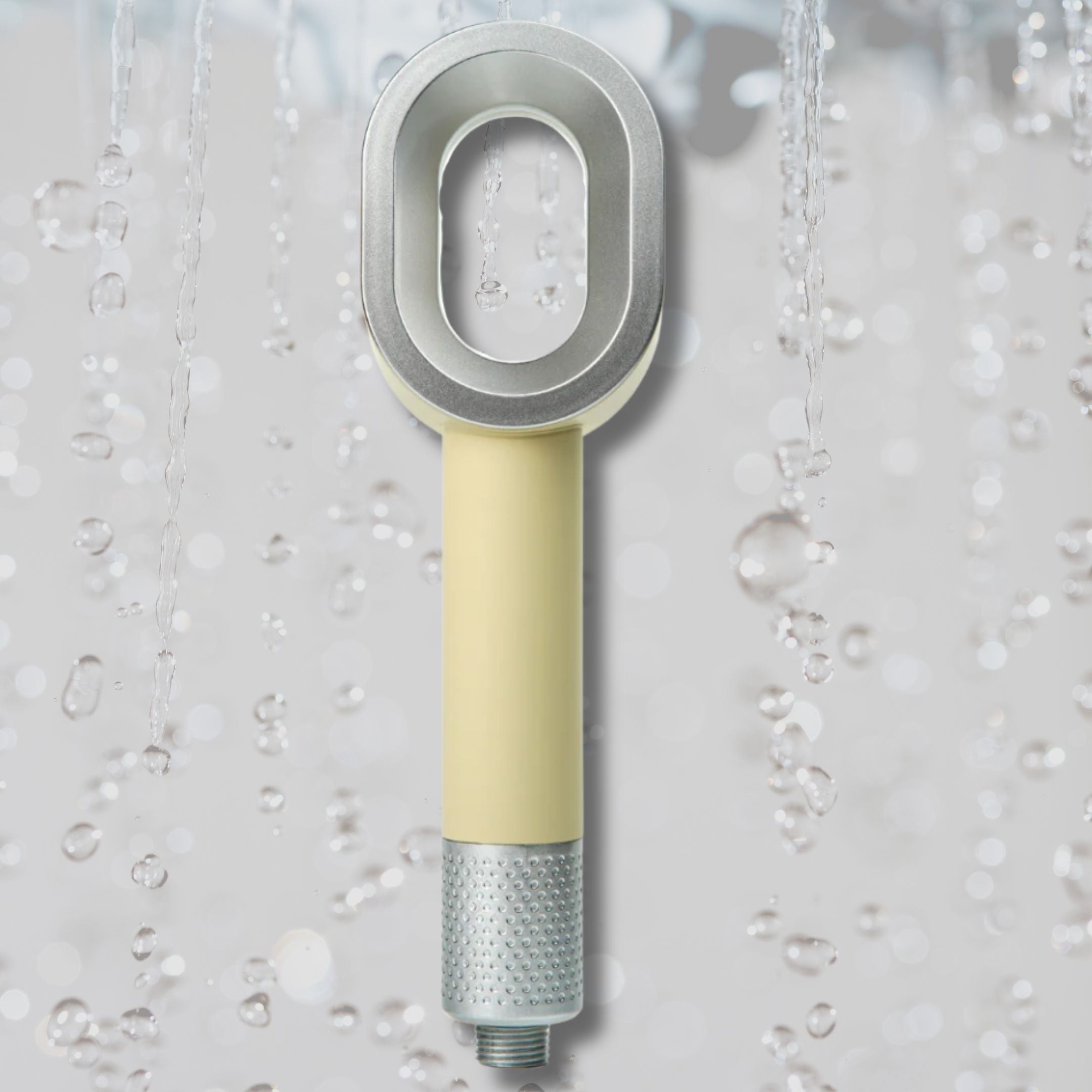 Filtered Shower Head with Handheld