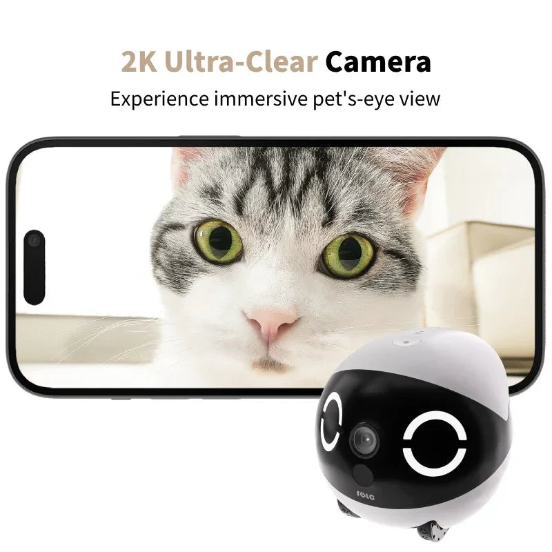 Smart Pet Monitoring Camera Robot EBO — 1080P, Wireless, Night Vision - Strike Algo