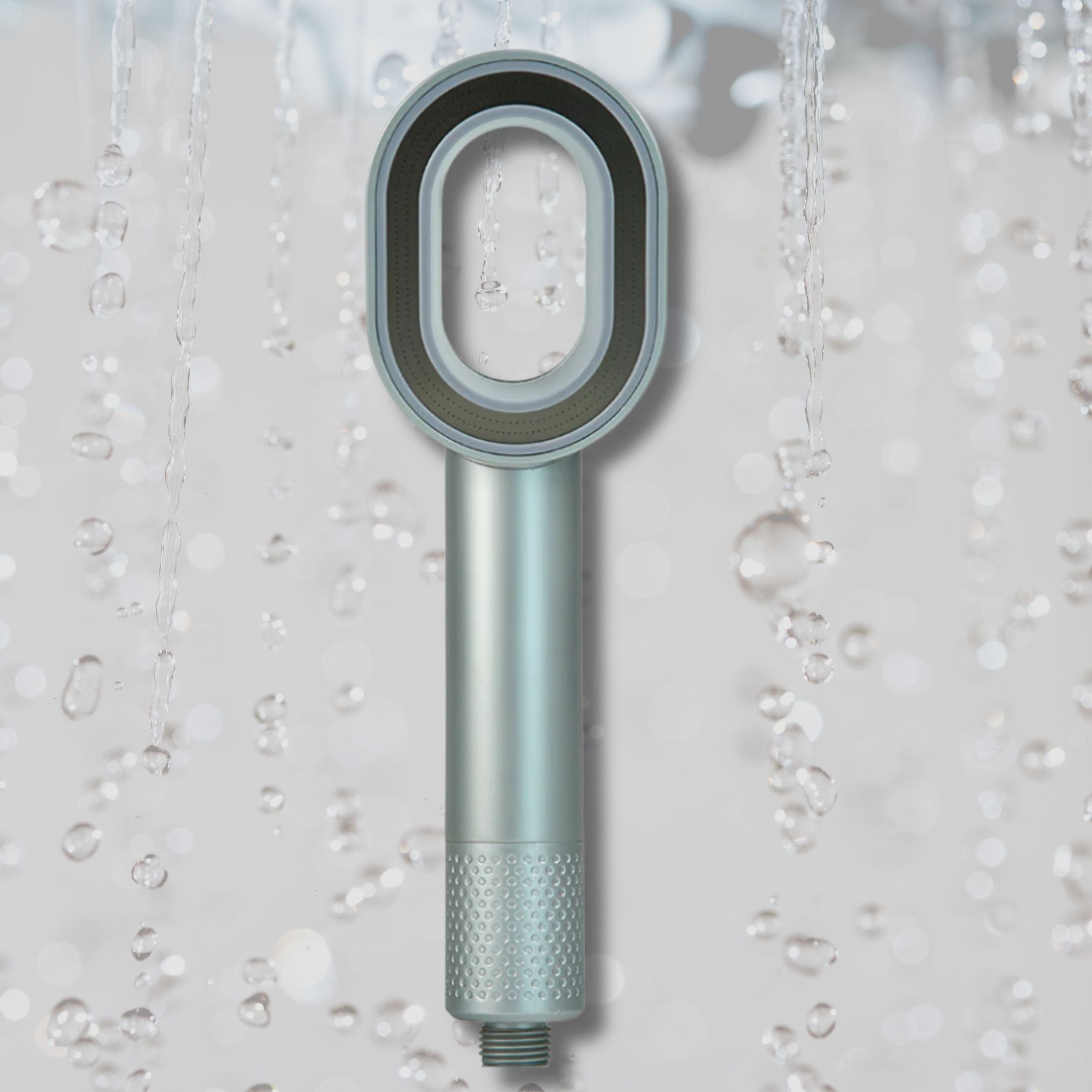 Filtered Shower Head with Handheld