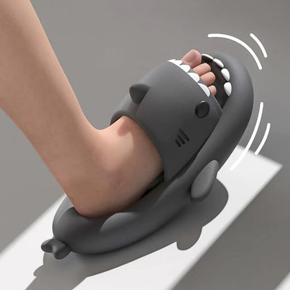 Shark Slides