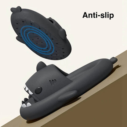 Shark Slides