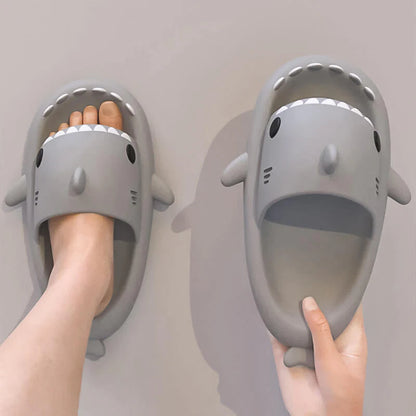 Shark Slides