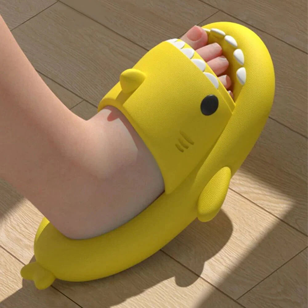 Shark Slides