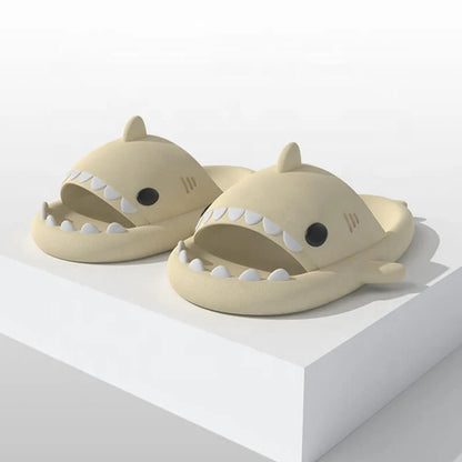 Shark Slides